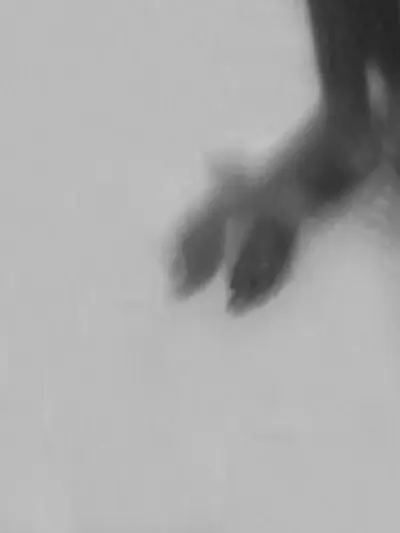 Bodyshapes, photographie digitale abstraite noir et blanc#1