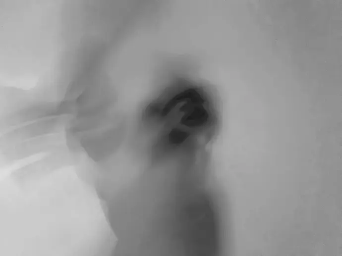 Empreinte des corps, photographie digitale abstraite noir et blanc#1